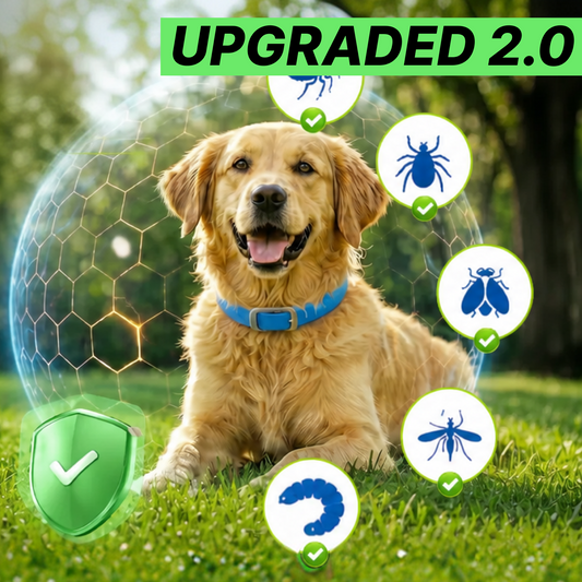BugShield™ Pet Collar 2.0